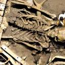 A Descoberta de Esqueletos gigantes, fato ou mito? Parte 2