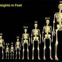 A Descoberta de Esqueletos gigantes, fato ou mito? Parte 1
