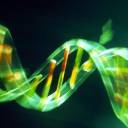 DNA, Mudanças de Corpos e Remédios