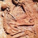 Arqueólogos encontram esqueletos abraçados há 6 mil anos