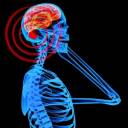 “Vamos esperar os cadáveres para agir contra o celular?”, questiona pesquisadora