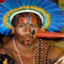 Saberes milenares: o peso da herança indígena na sociedade brasileira