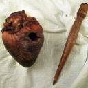 Coração mumificado de Vampiro é leiloado no eBay