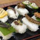 Sushi de inseto