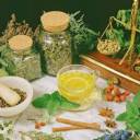 Plantas, frutas,Ervas e seu uso medicinal - Parte 1