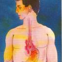 Doença do Refluxo Gastro-Esofágico - DRGE