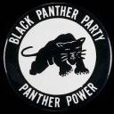 Partido dos Panteras Negras-Parte1