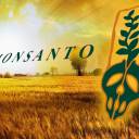 Os 10 Produtos Mais Polêmicos da Monsanto