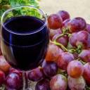 Os benefícios do vinho orgânico