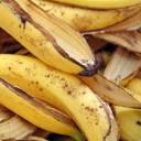 Cascas de banana madura agem como elemento purificador de água