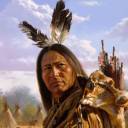 Genocídio indígena nos Estados Unidos
