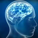 Cientistas descobrem como fazer “upload de conhecimento” para o cérebro