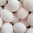 Chineses criam e vendem ovo falsificado feito com produtos químicos