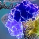 Tudo o que você precisa saber sobre a CRISPR, nova ferramenta de edição de DNA