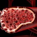 Cientistas desenvolveram vasos sanguíneos artificiais de células do CADAVER