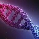 Cientistas descobrem função de parte misteriosa do “DNA lixo”