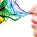 Como os aromas influenciam a nossa percepção