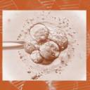 Cientistas editaram embriões humanos no laboratório e foi um desastre