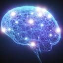 Neurocientistas acreditam que redes neurais profundas podem ajudar a ilustrar como os psicodélicos alteram a consciência