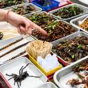 Os insetos comestíveis aproximam-se dos pratos europeus. Por que é comum comer insetos em algumas culturas