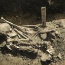 Corpo de 3.000 anos descoberto provavelmente morreu devido a um ataque de tubarão pré-histórico
