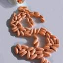 ‘Medicamentos que curam não são rentáveis e, portanto, não são desenvolvidos’, diz Nobel de Medicina