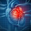 Grupo de segurança do CDC diz que há uma ligação provável entre inflamação cardíaca rara em jovens após o Covid