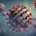 Coronavírus perde maior parte do poder de infecção após 20 minutos