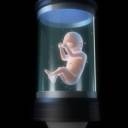 Cientistas: “Nós vamos gerar bebês em ventres artificiais ‘em uma década”