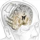 Implante cerebral experimental elimina a depressão em tempo real