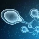 A contagem de espermatozóides em queda 