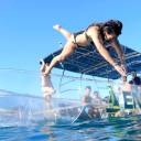 Barco transparente faz sucesso no turismo de Los Cabos, no México