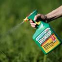 'Perturbador': ingrediente herbicida ligado ao câncer encontrado em 80% das amostras de urina dos EUA
