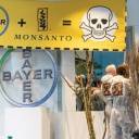 Monsanto: 115 anos contra planeta e saúde humana