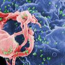 O HIV agora infecta mais pessoas heterossexuais do que homens gays ou bissexuais – precisamos de uma nova estratégia