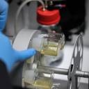 Embriões humanos sintéticos criados em avanço inovador