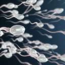 O Anticoncepcional Masculino sem Hormônios: A Revolução na Contracepção!
