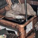 Marinheiro mumificado encontrado em navio fantasma