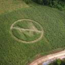 Contratos secretos da Monsanto são revelados