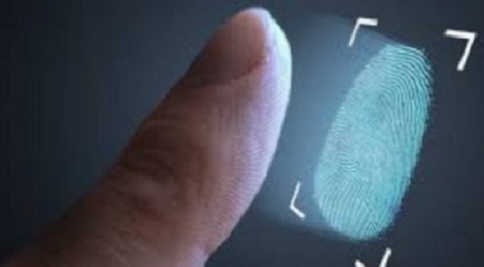 Por que Temos Impressões Digitais