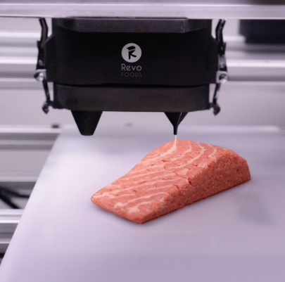 salmão vegano impresso