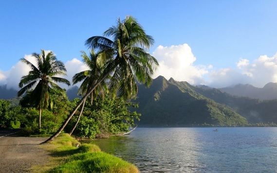 Ilha moreea arvores