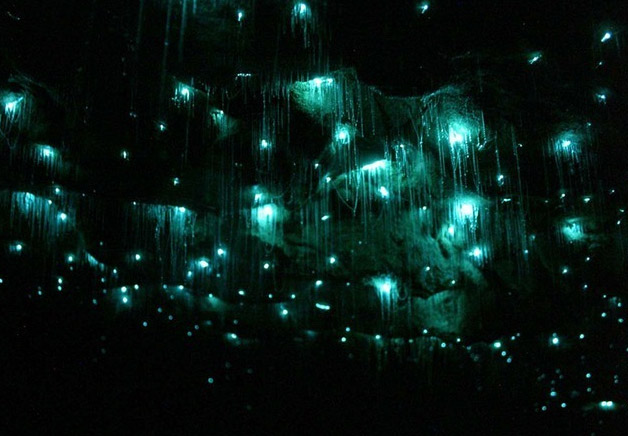 caverna estrelado