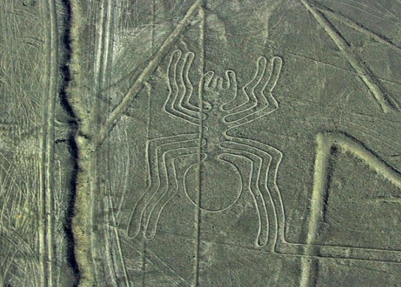 nazga imagem aranha2