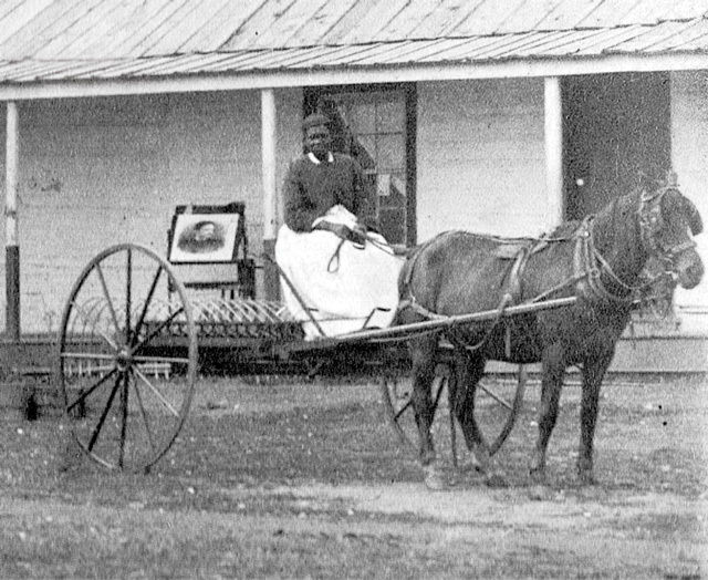 Mary Fields forte