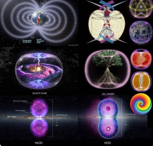 Nassim universo