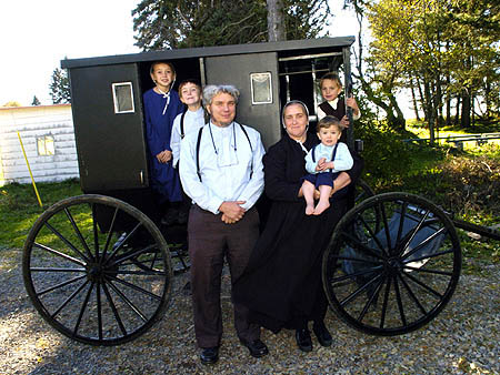 Amish carroça