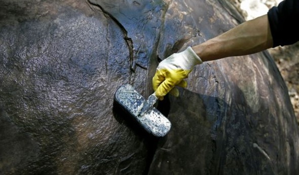 Esfera bosnia limpa