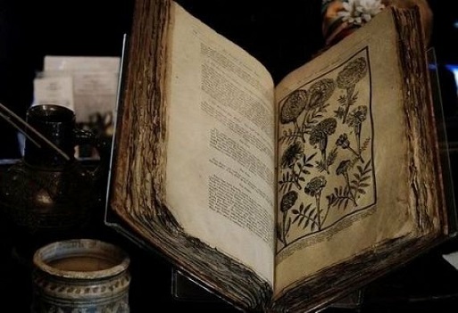 Livro soy mistério