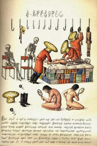 Codex Seraphinianus pagina 3